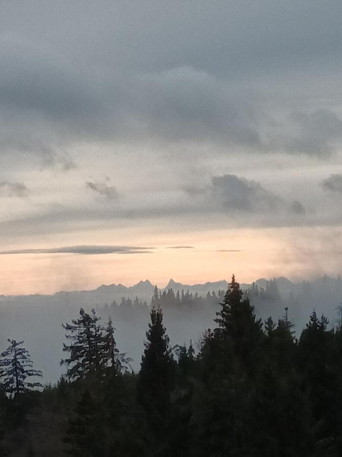 Terre De Sapins - Gites Nature Haut De Gamme Avec Sauna Au Coeur Du Lac Blanc Orbey Luaran gambar