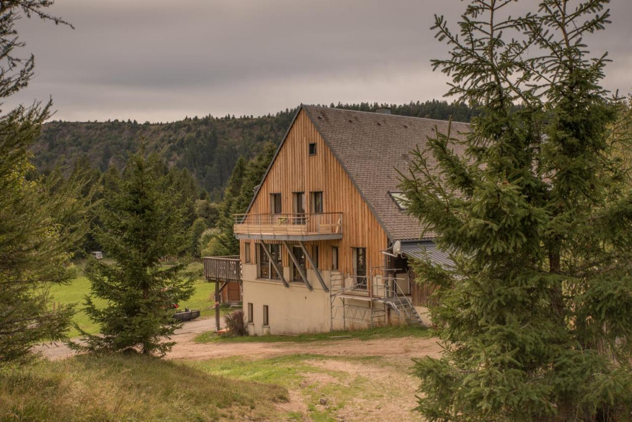 Terre De Sapins - Gites Nature Haut De Gamme Avec Sauna Au Coeur Du Lac Blanc Orbey Luaran gambar